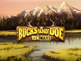 บัคและโด 10K วิธี